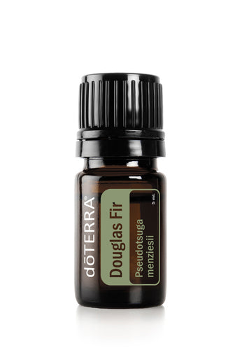 doTERRA Douglas Fir  Pseudotsuga menziesii