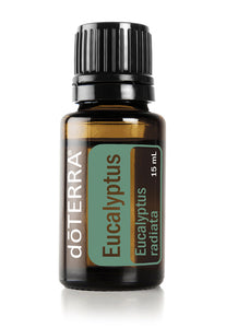Doterra Eucalyptus  Eucalyptus radiata