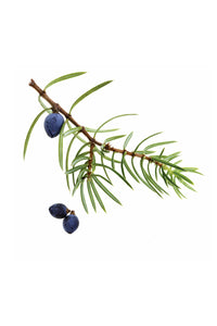 Doterra Juniper Berry Aromatherapy Oil