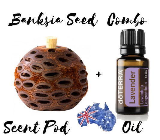 Banksia Seed Scent Pod  + Doterra Lavender Aromatherapy  Oil *Free Post* *Unique GIft*