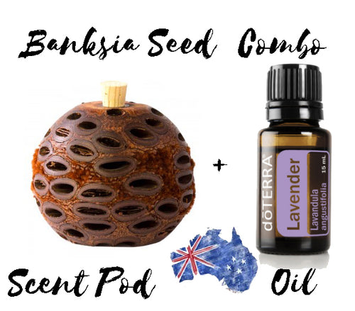 Banksia Seed Scent Pod  + Doterra Lavender Aromatherapy  Oil *Free Post* *Unique GIft*