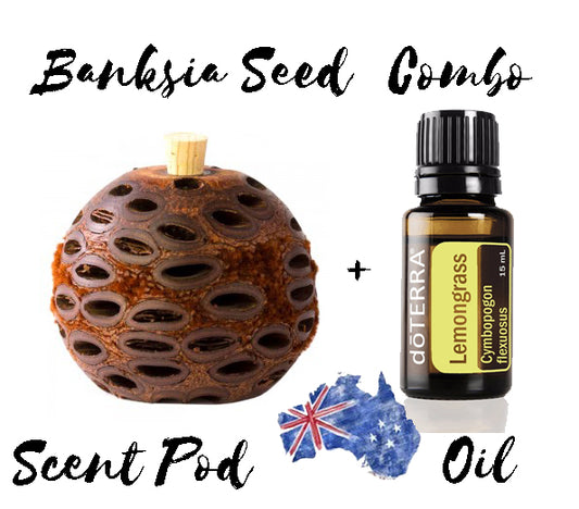 Banksia Seed Scent Pod  + Doterra LemonGrass Aromatherapy  Oil *Free Post* *Unique GIft*