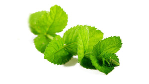 dōTERRA Peppermint Touch Aroma Roller Ball with Mentha piperita